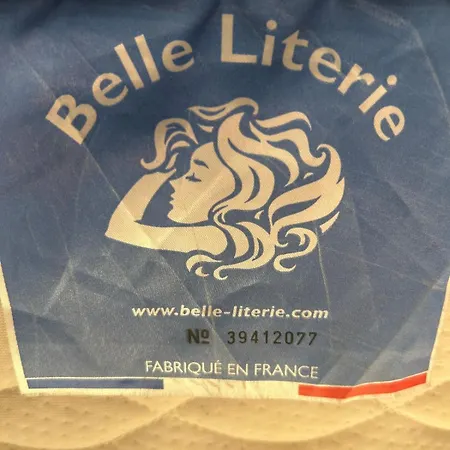 Le Mans'arde דירה